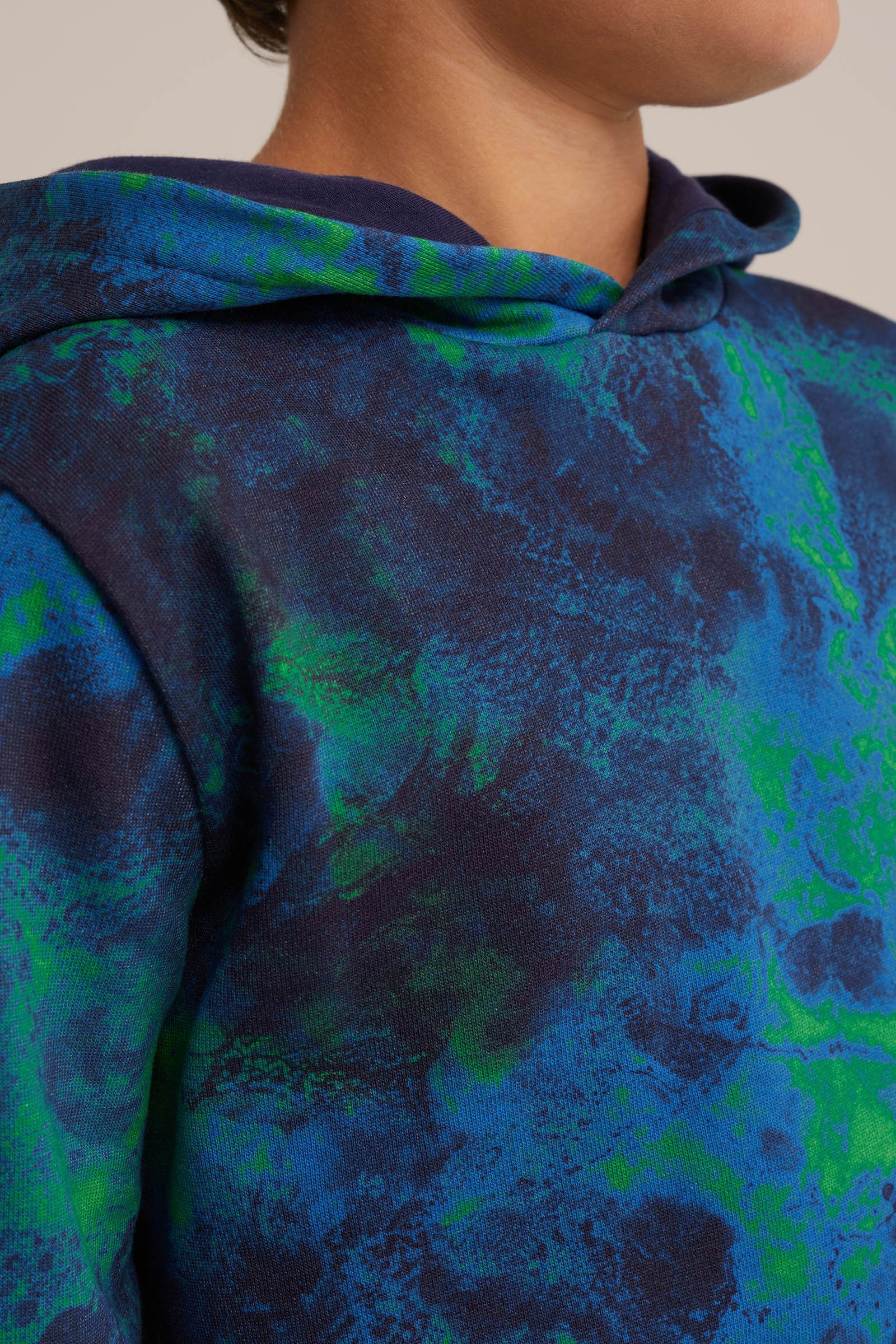Jongens hoodie met dessin Blue Ridge Multikleur