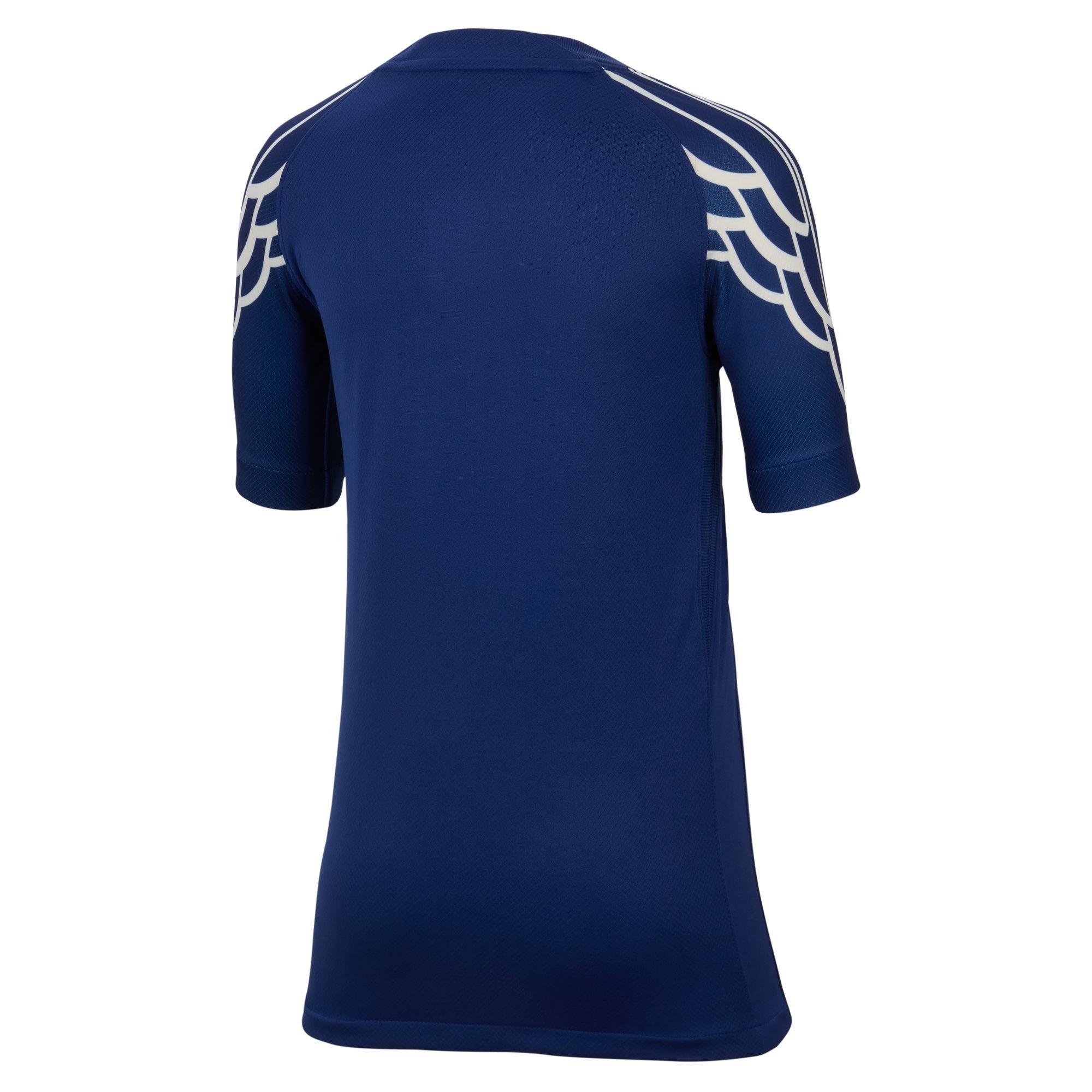 Nike Paris Saint Germain Fourth Shirt 2024 2025 Juniors