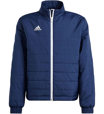 adidas Performance Steppjacke - ENT22 LJKTY - TENABL