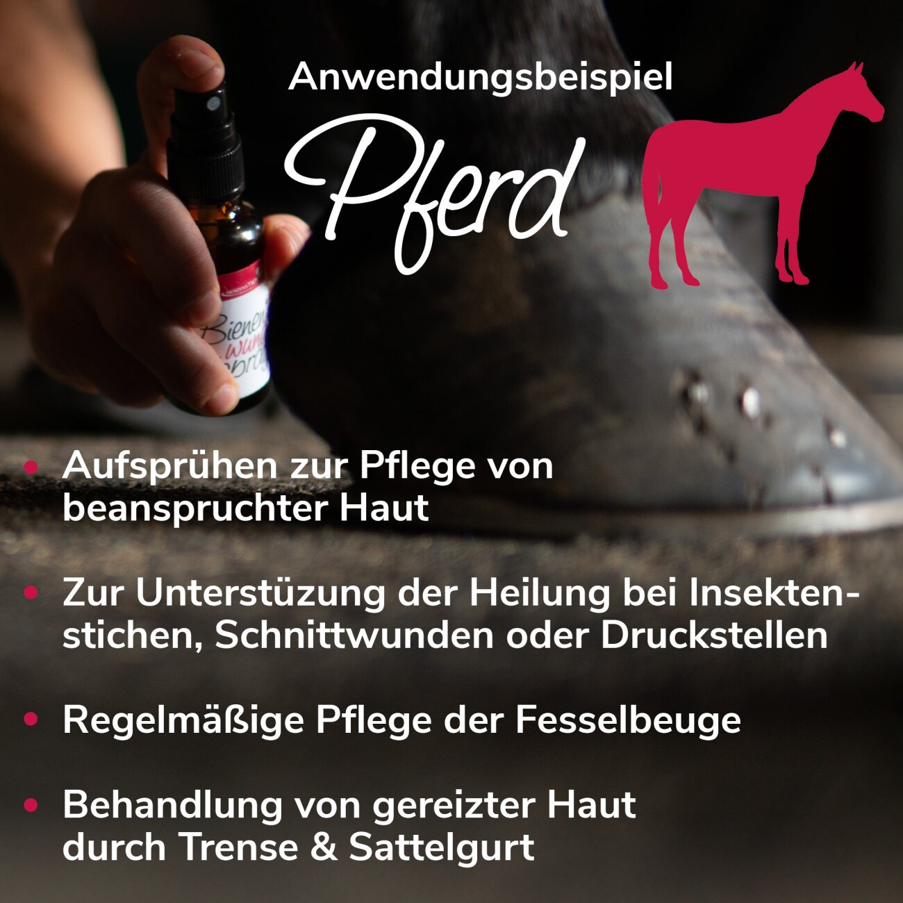 HerzensTier Wundspray Bienenwunderspray 30ml