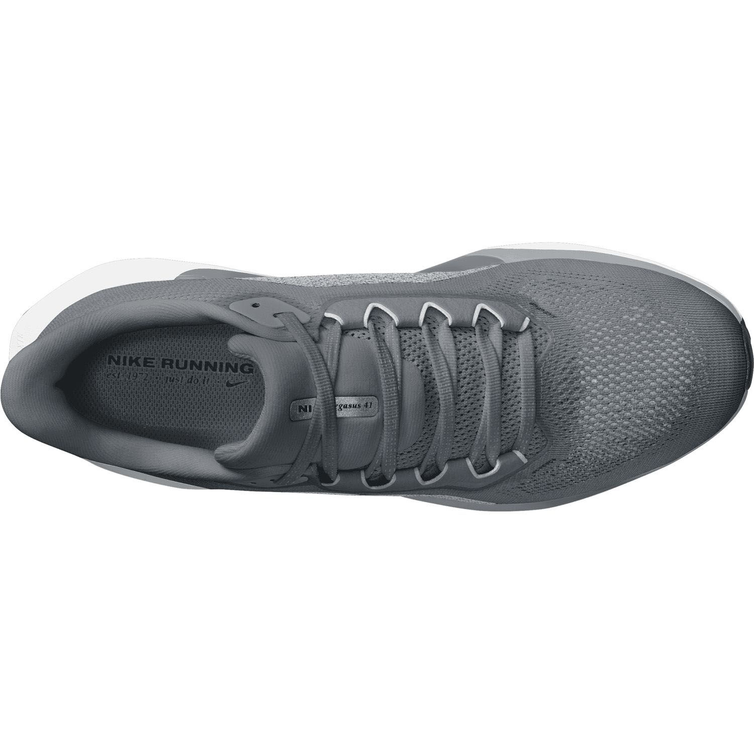 NikeNike Pegasus 41 Men
