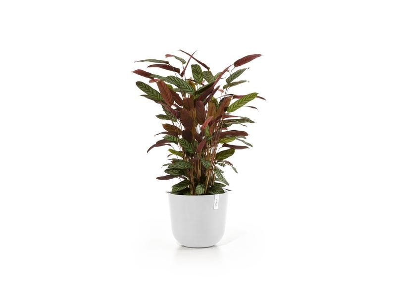 Ecopots Pflanzentopf Oslo 35, Weiss Robuster und langlebiger Blumentopf