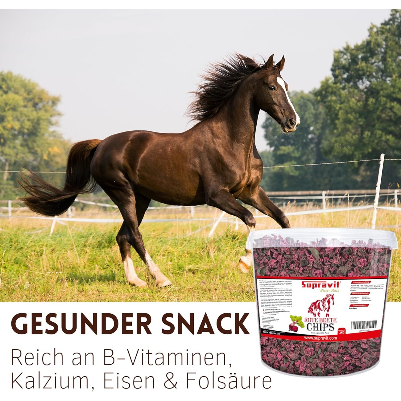 Supravit Rote Beete Chips 2kg Pferdeleckerli