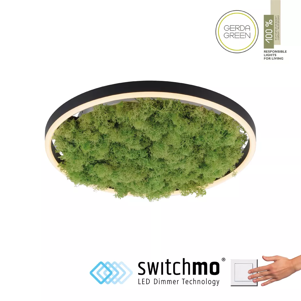 LED-Deckenleuchte Green Ritu