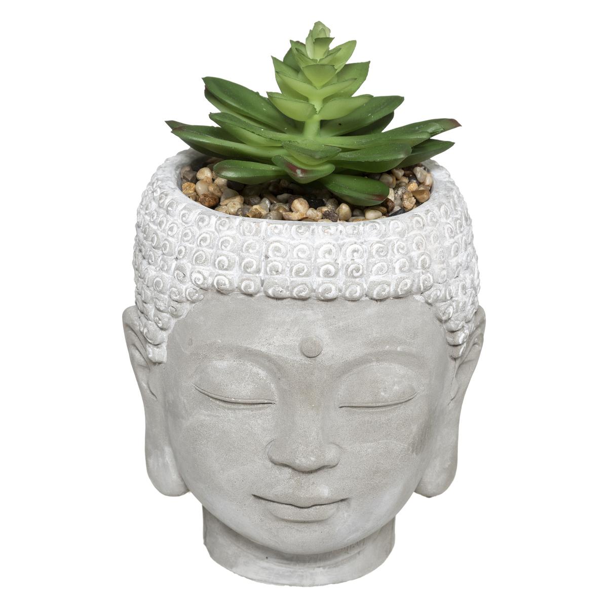PLANTE GRASSE BOUDDHA CIMENT VIA H.13CM