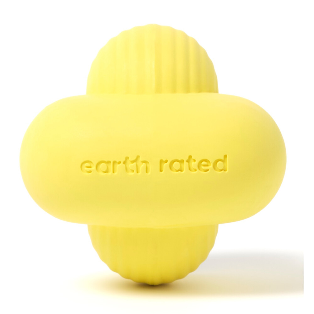 Earth Rated Fetch Toy Rubber L