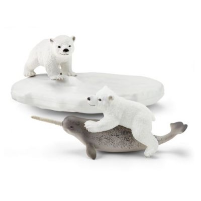 Polar Playground