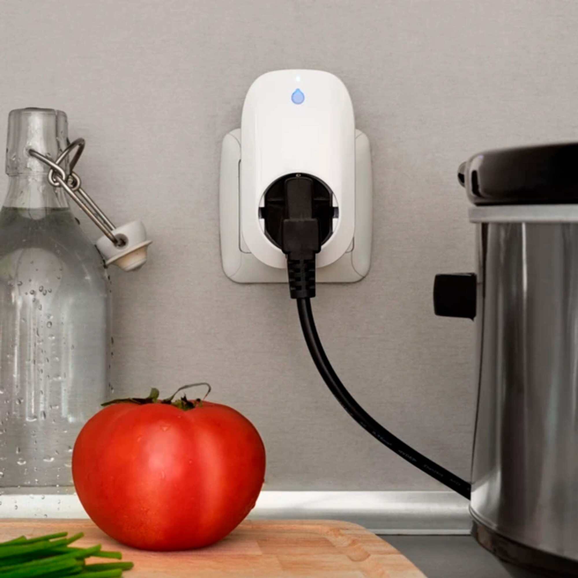 Shelly Stecker Plug