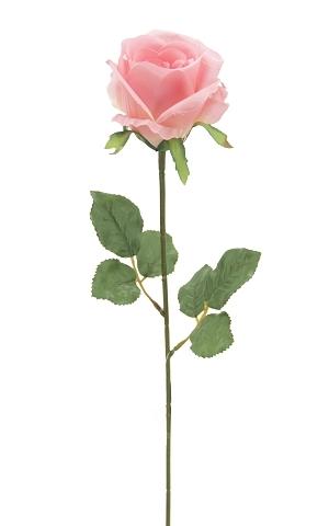 TIGE DE ROSE H.72CM ROSE