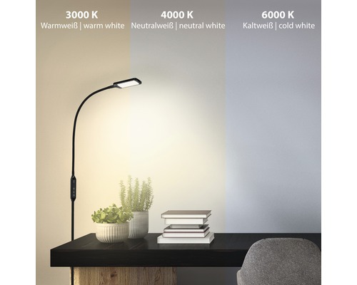 LED vloerlamp, dimbaar, CCT 700 lm, 3000-6500 KH, 140 cm, zwart, met afstandsbediening