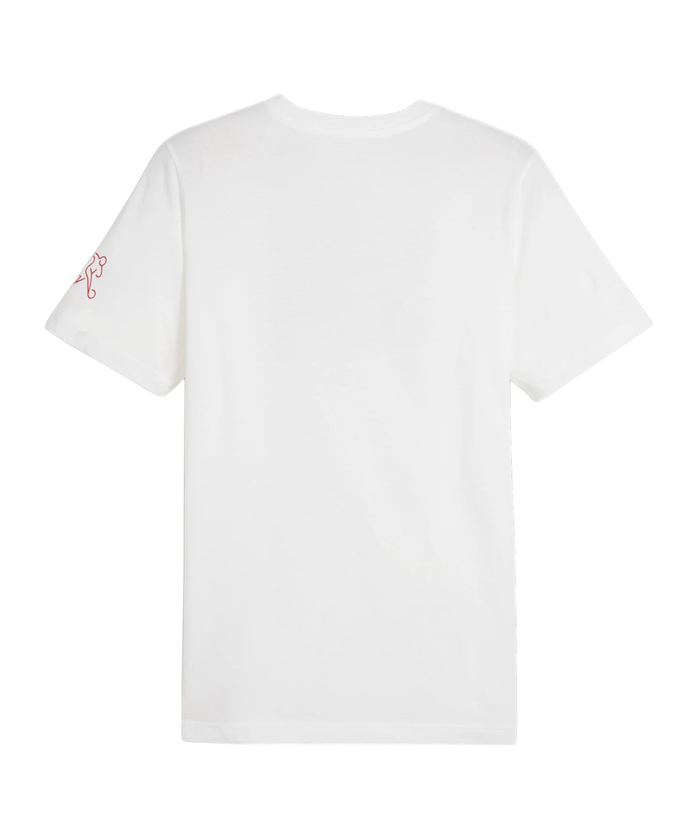 PUMA Schweiz Ftbl Icons T-Shirt Weiss F15