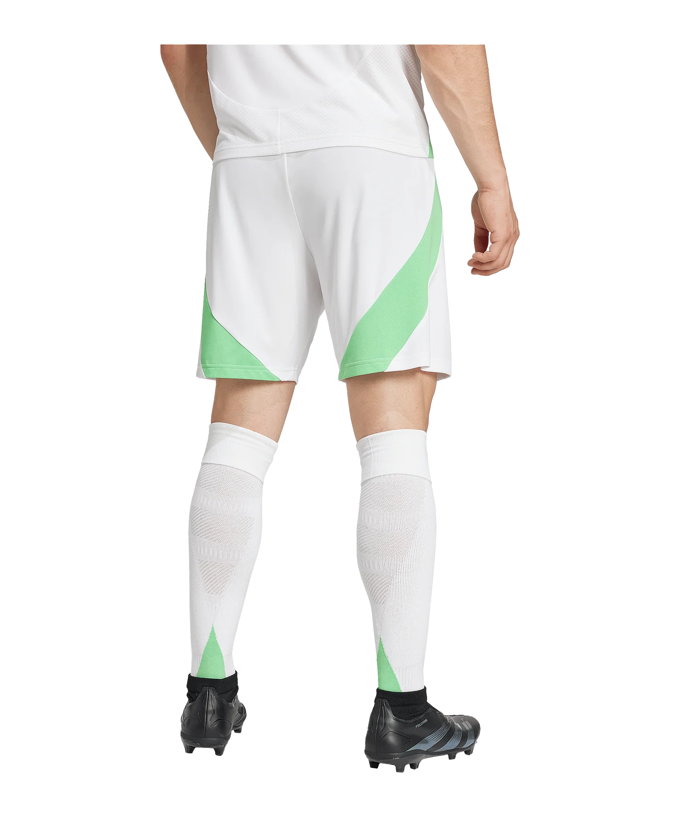 adidas Algerien Short Home 2024 Weiss