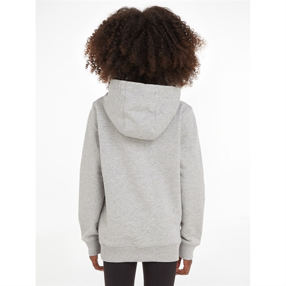 Køb Tommy Hilfiger Essential Hoodie Light Grey Heather