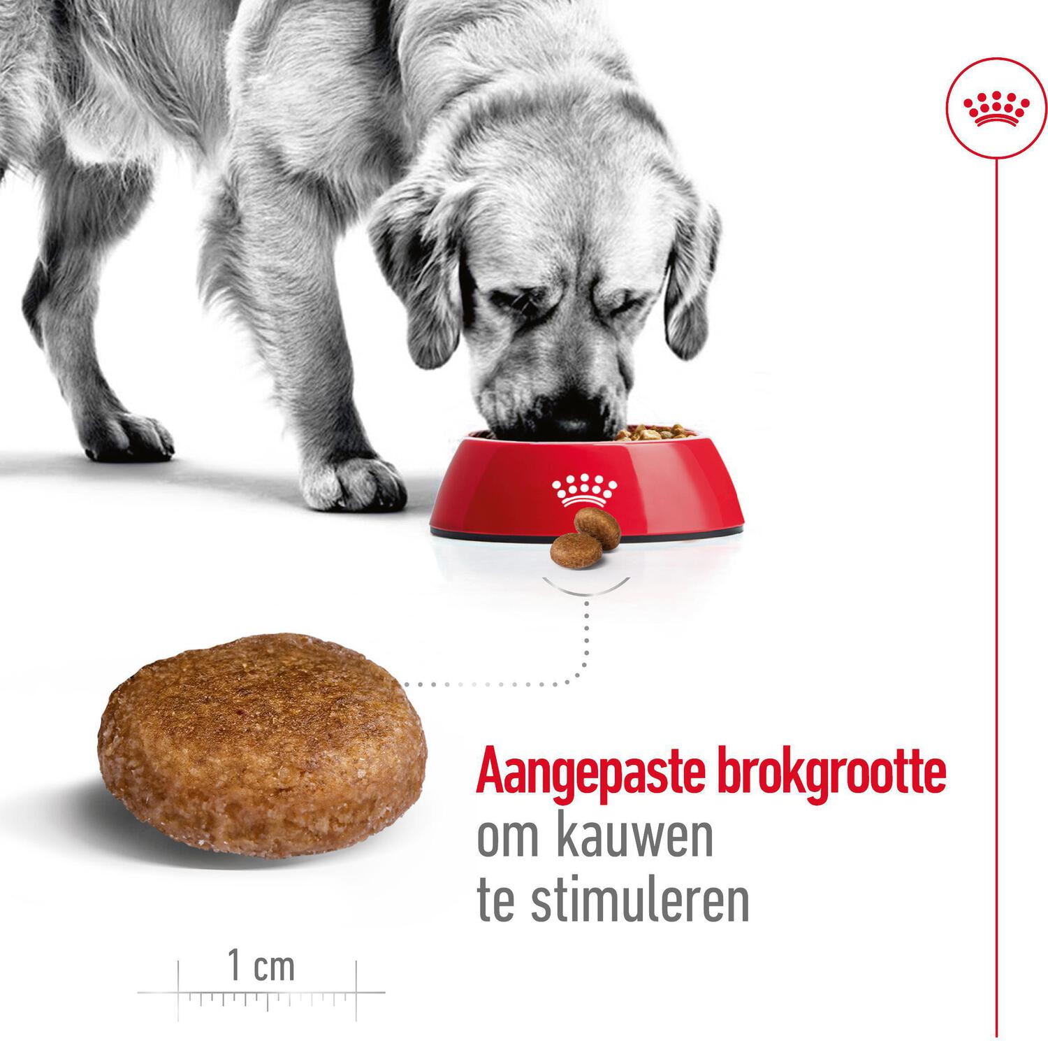 Royal Canin hondenvoer Maxi adult 5+ 15 kg