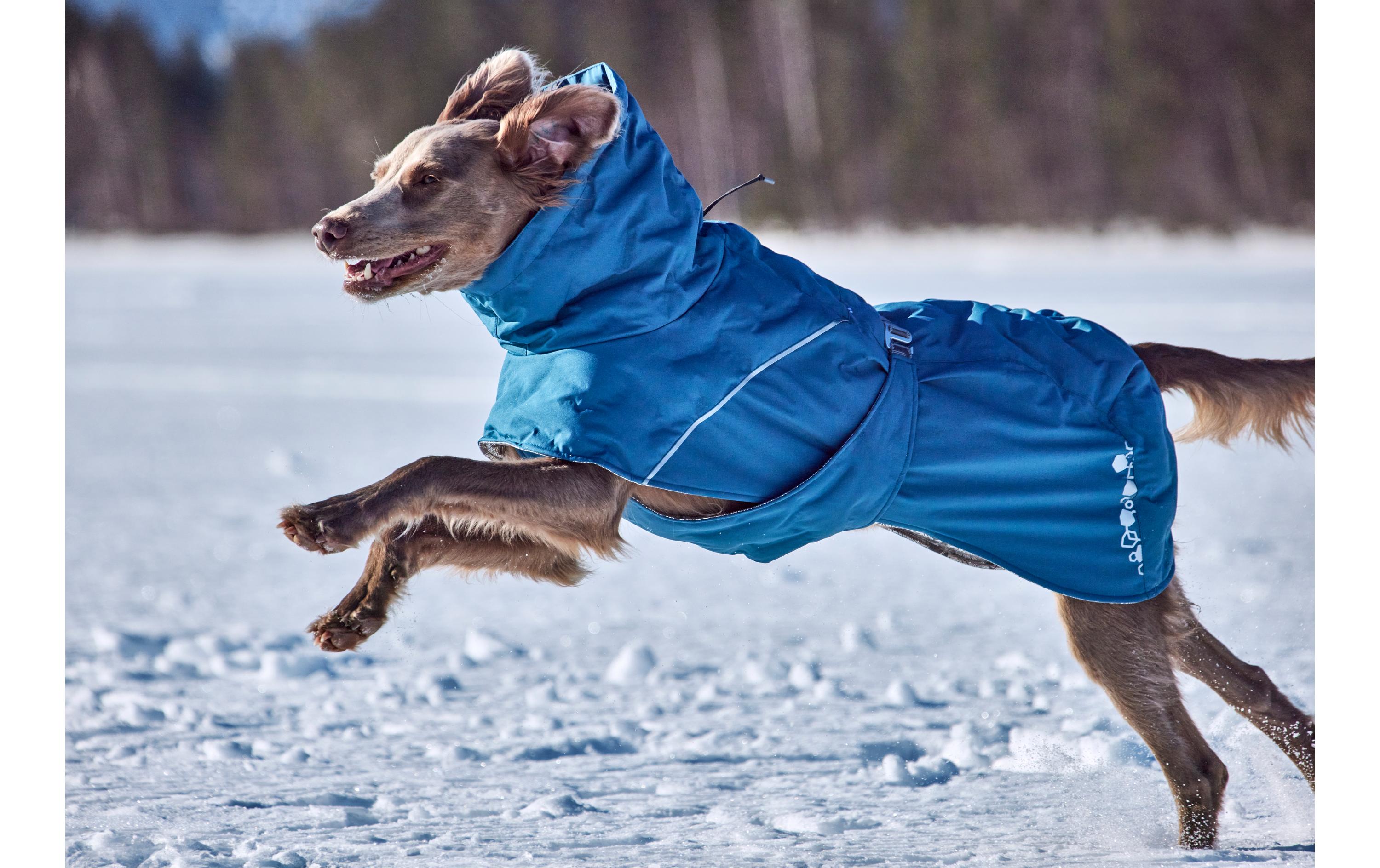 Extreme Warmer V3 Eco Blau, 60 cm<br>Winterjacke für Hunde