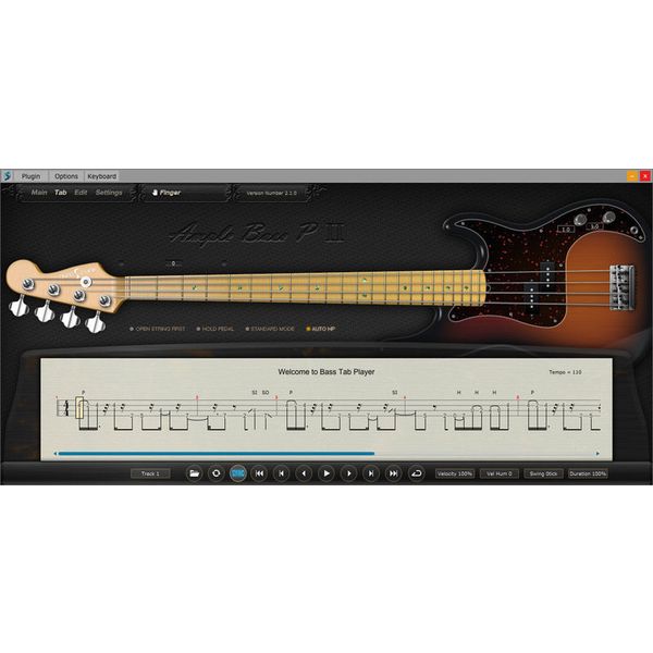 Ample Sound Ample Bass P II