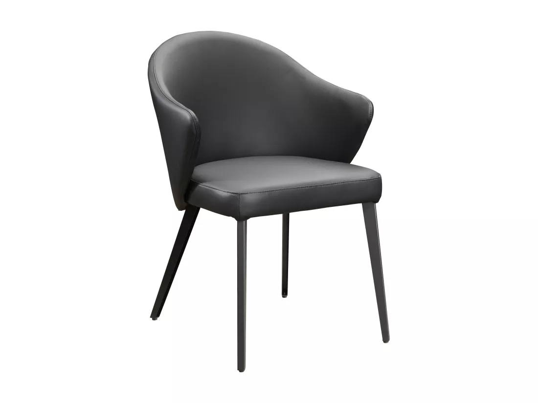 Lot de 2 chaises avec accoudoirs en cuir et acier - Noir - MIBELLY de Maison Céphy