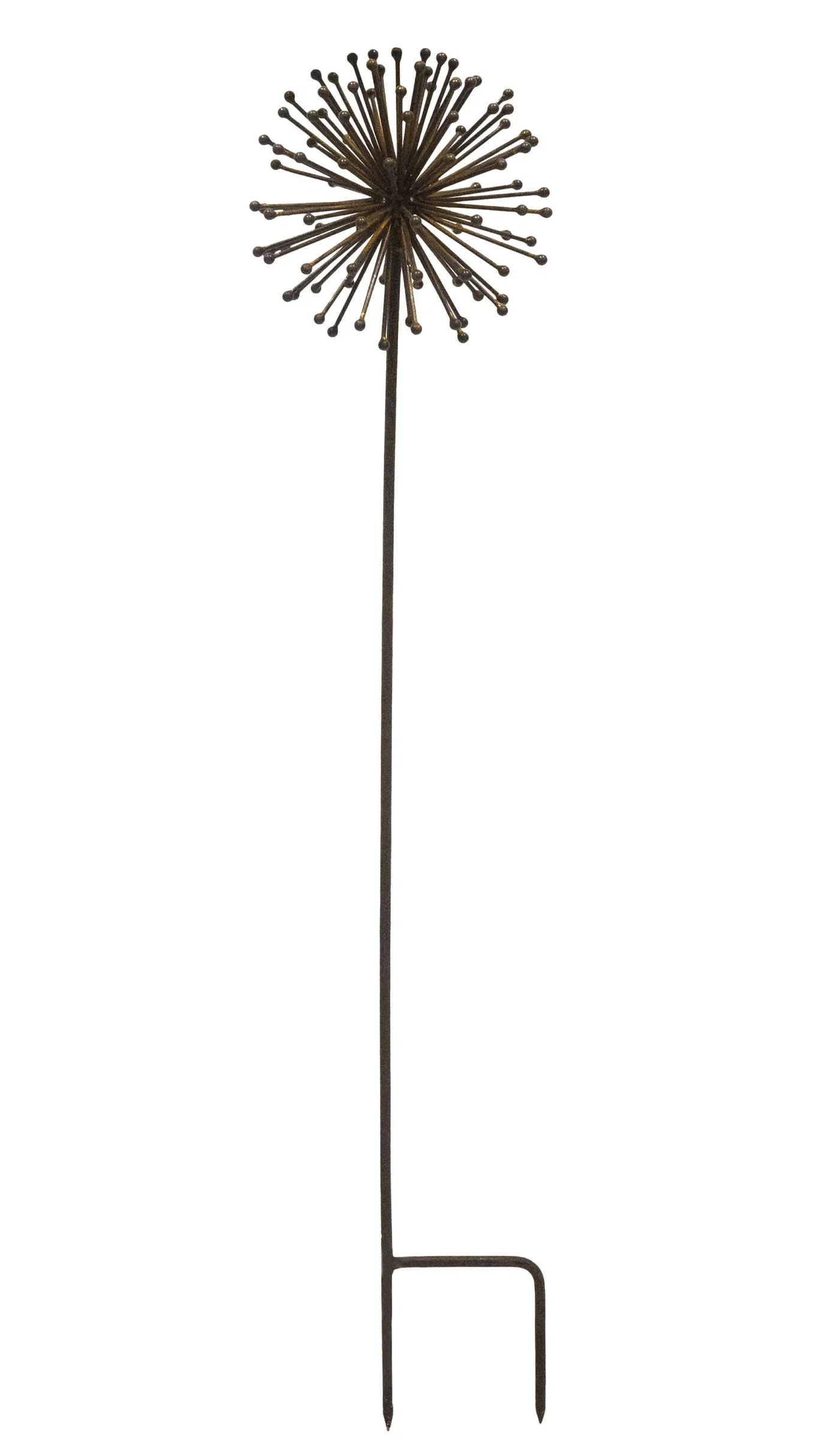 Dekorasjonspinne Allium Høyde 80 cm