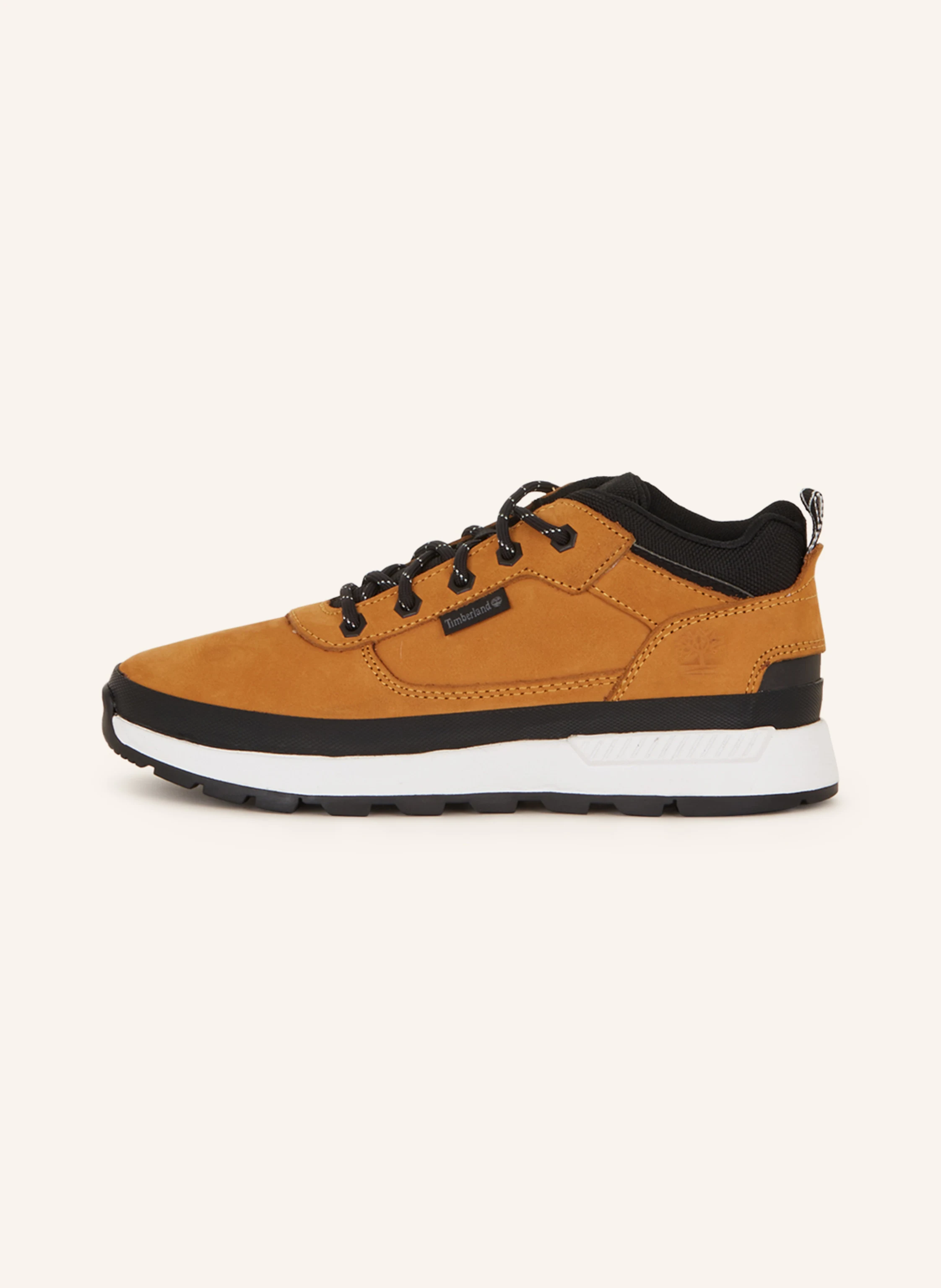 Timberland Boots FIELD TREKKER LOW
