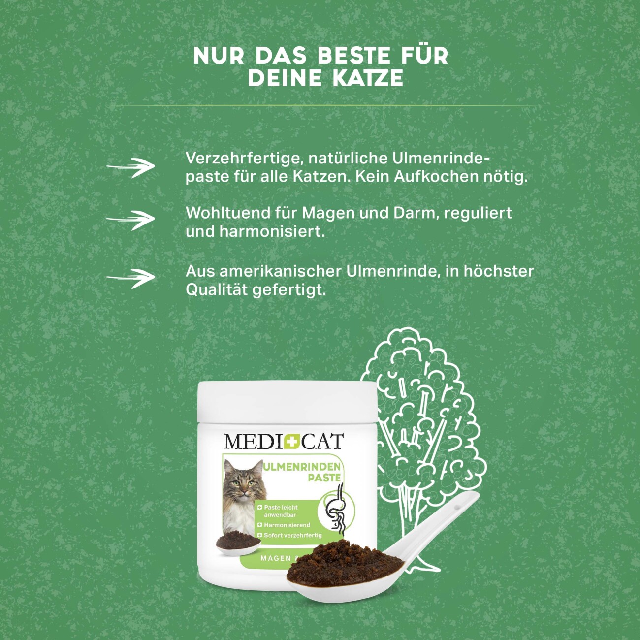 MediCat Ulmenrinde Paste