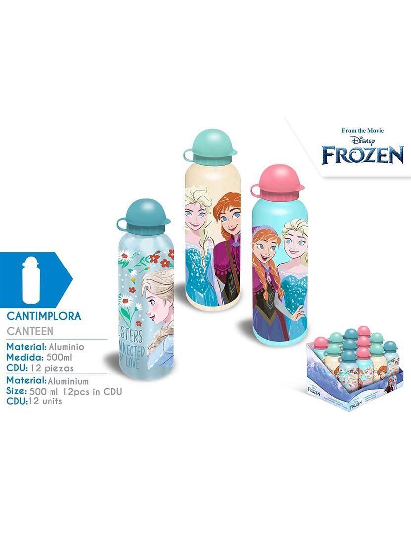 Aluminum Bottle 500Ml 3 Frozen Designs
