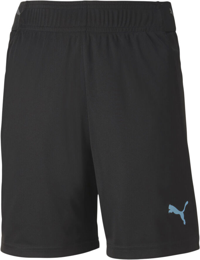 Puma ftblNXT Shorts Sort