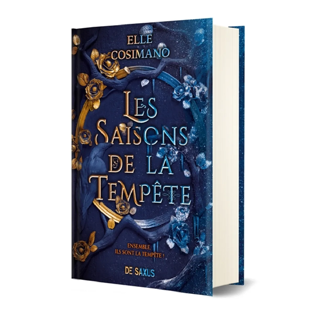 Les saisons de la tempête · Occasion