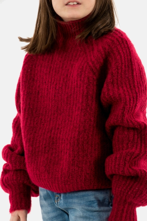 pulls hiver Le Temps Des Cerises streetgi 4441 persian