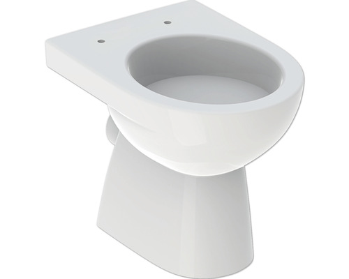 GEBERIT Renova staande wc, diepe spoeling, met rand, glanzend wit, zonder wc-bril 500810012