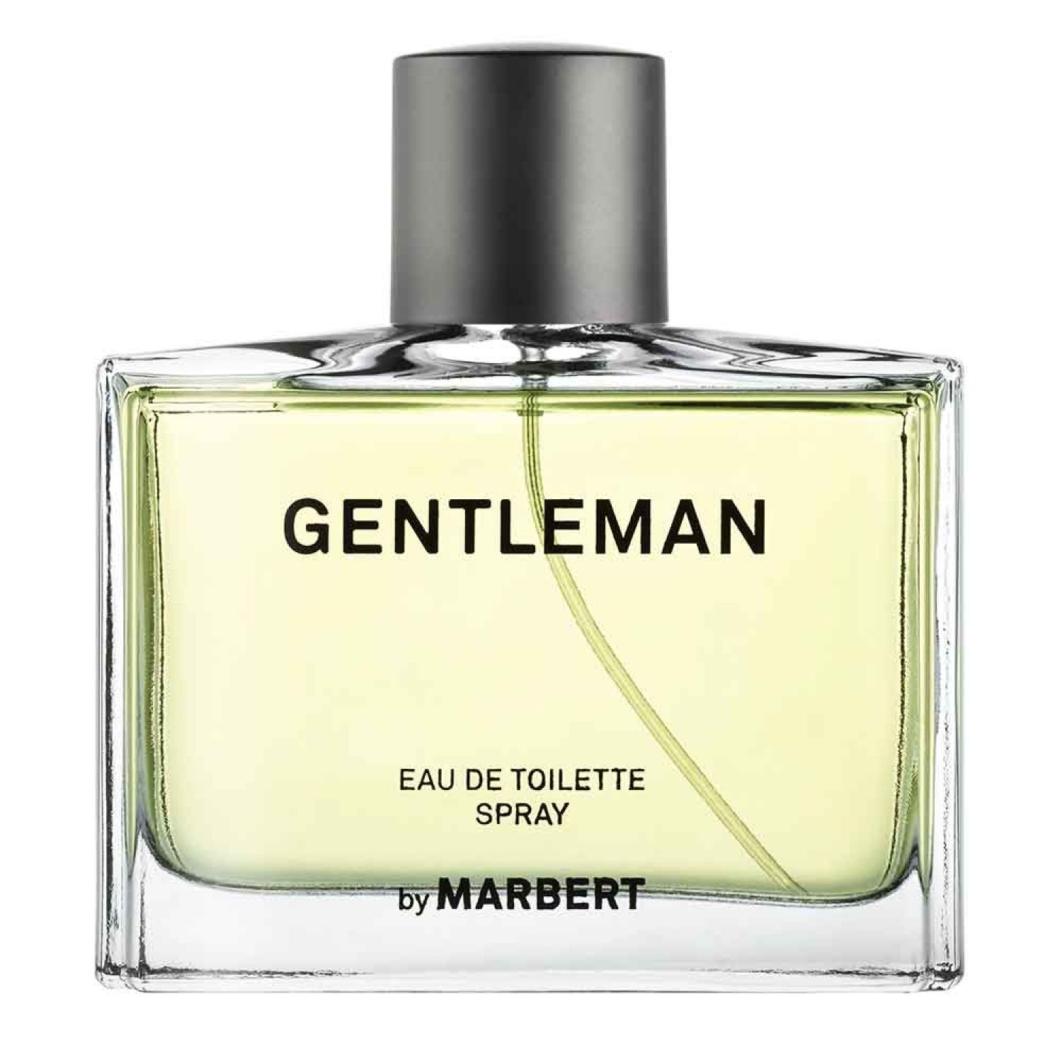 Marbert Düfte Gentleman Eau de Toilette Spray