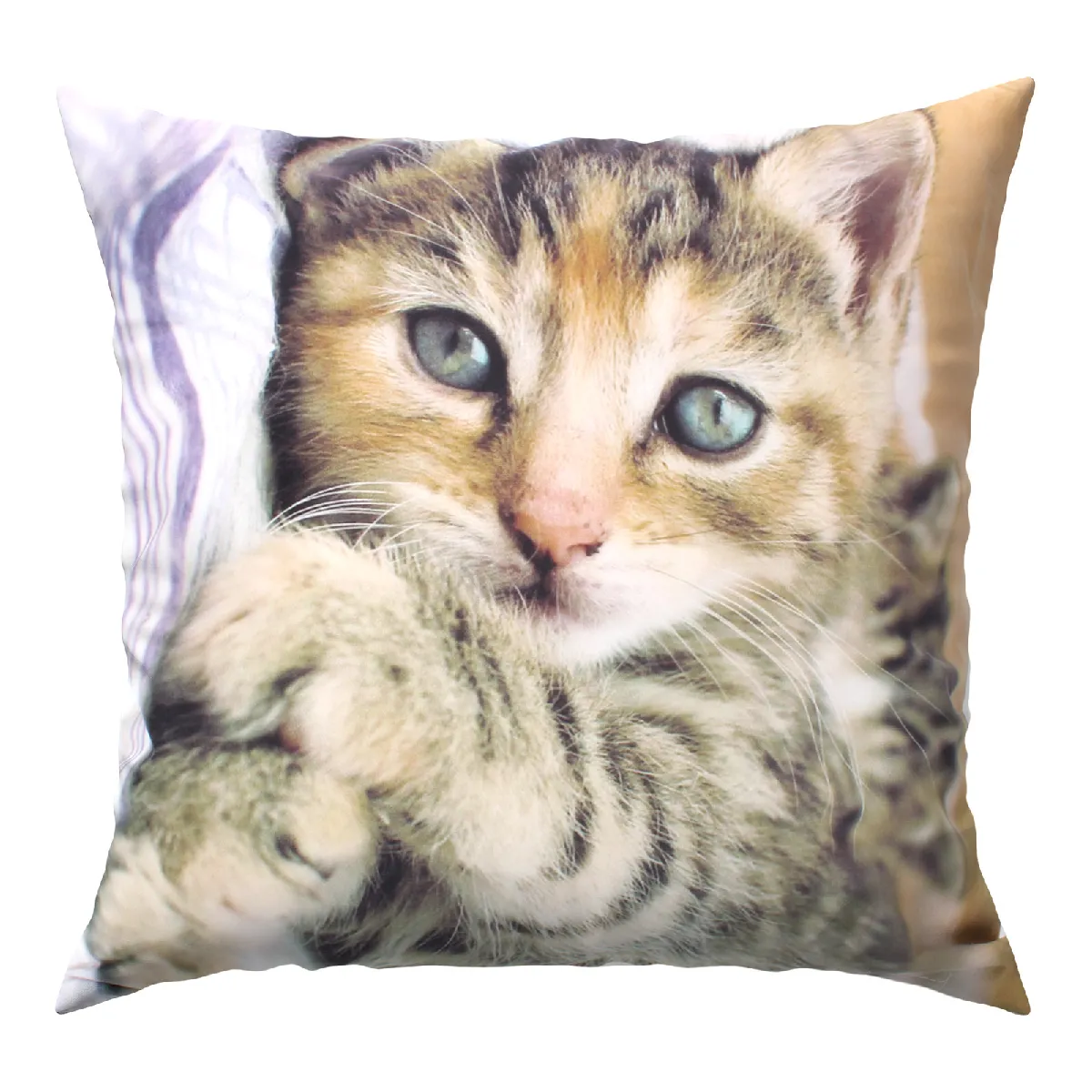 Housses de coussin AVIZAR - Chaton Allongé 40x40CM