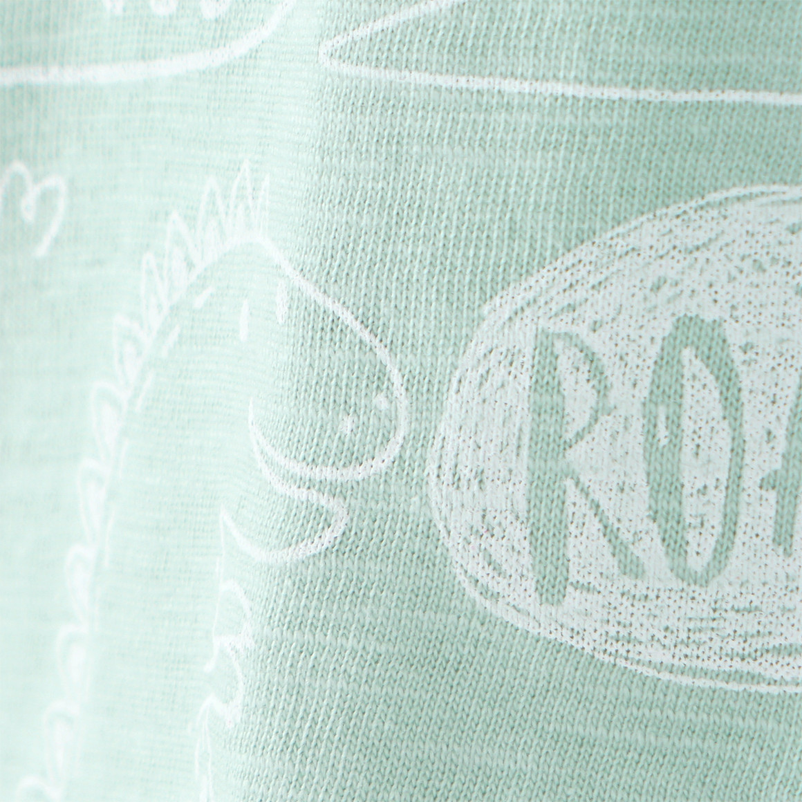 Topomini Baby Langarmshirt mit Dino-Motiven mintgrün