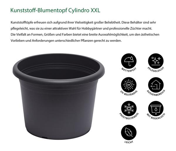 Dehner Kunststoff-Blumentopf Cylindro XXL,
