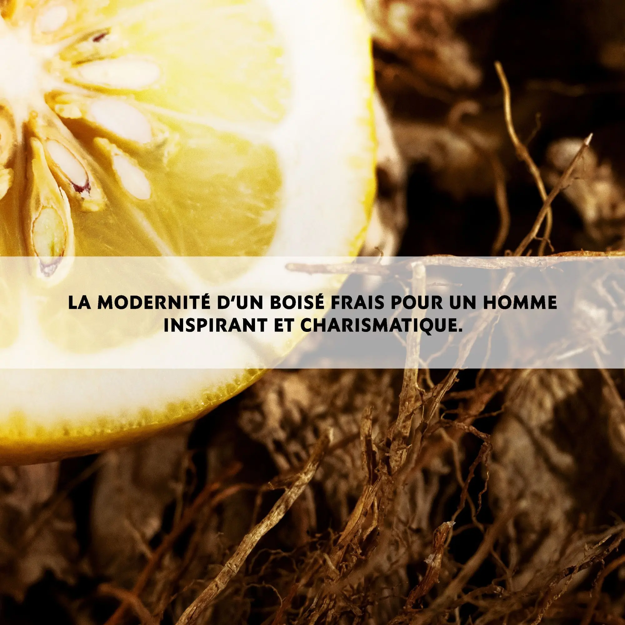 Yves Saint Laurent - L'HOMME Eau de Toilette- Eau de toilette