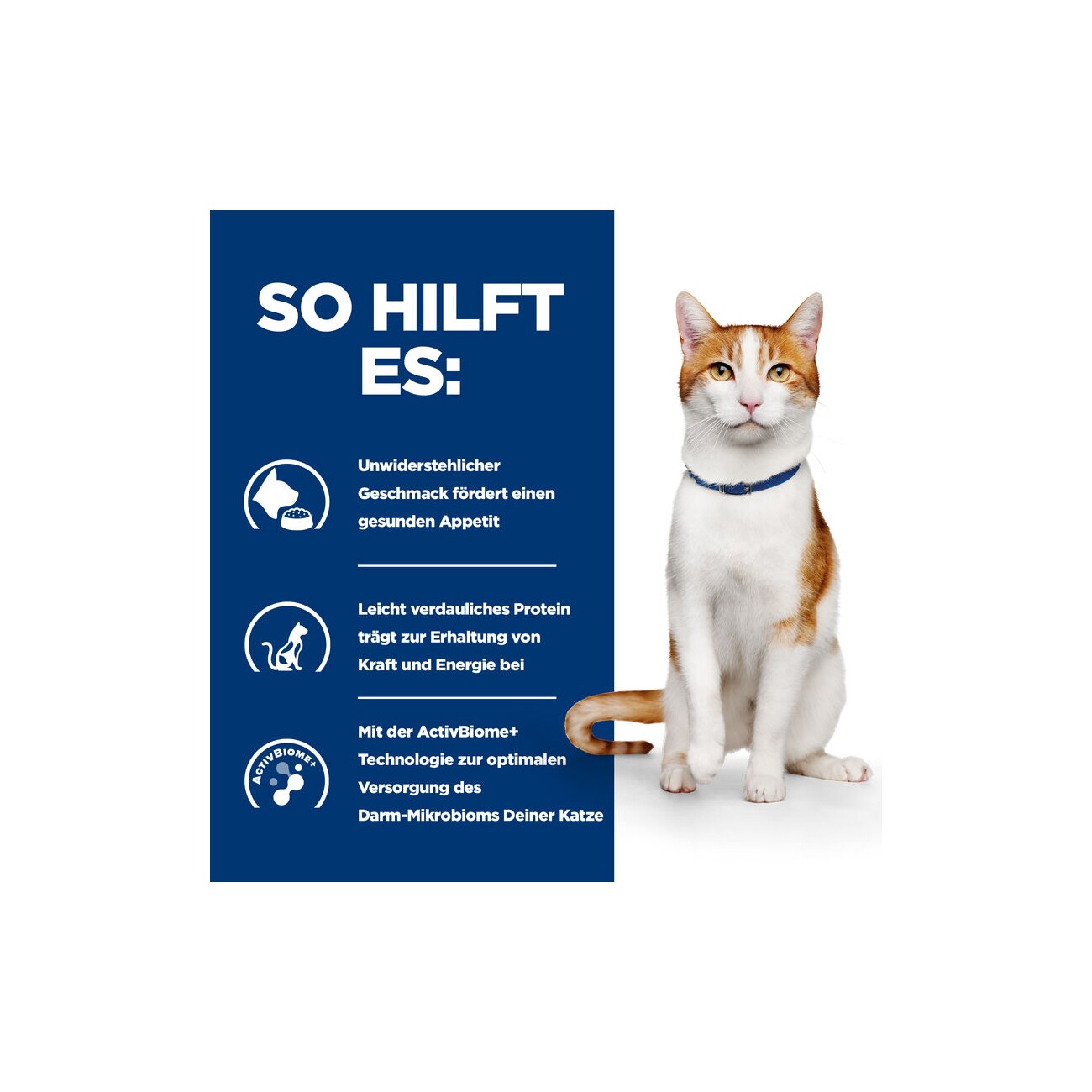 Hill's Prescription Diet ON-Care Ragout mit Huhn 24x82 g
