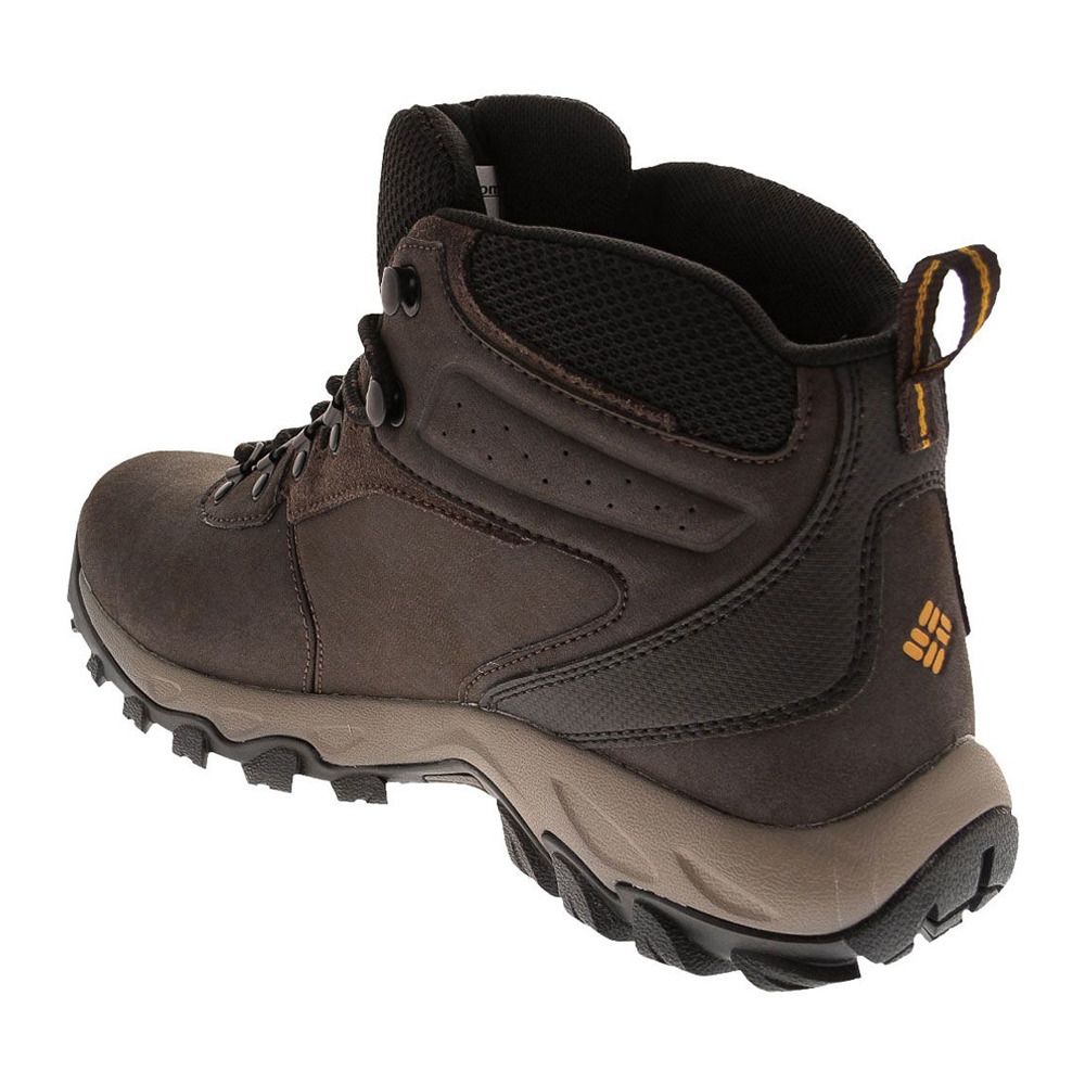Columbia NEWTON RIDGE PLUS II WATERPROOF - Chaussures randonné Homme brown