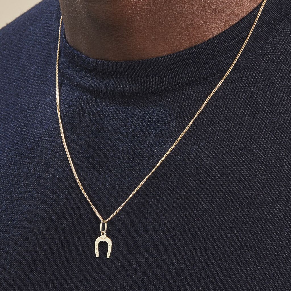 Pendentif Egide Fer A Cheval Or Jaune