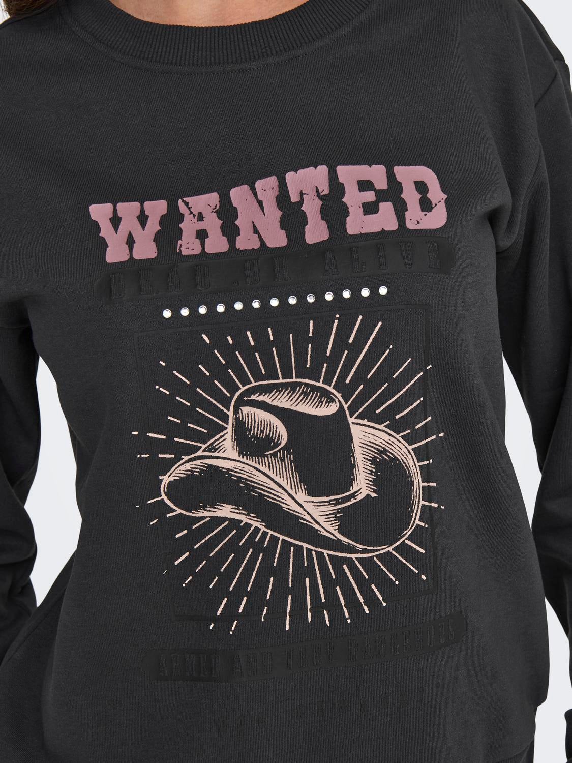 JDYPARIS Sweatshirt Phantom