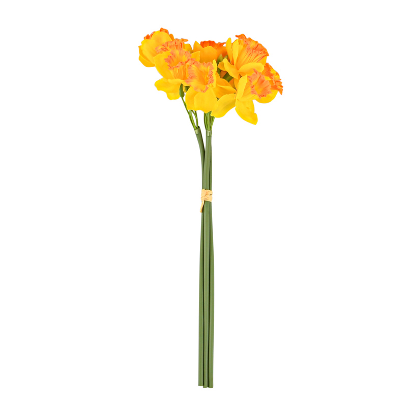 Bouquet de jonquilles