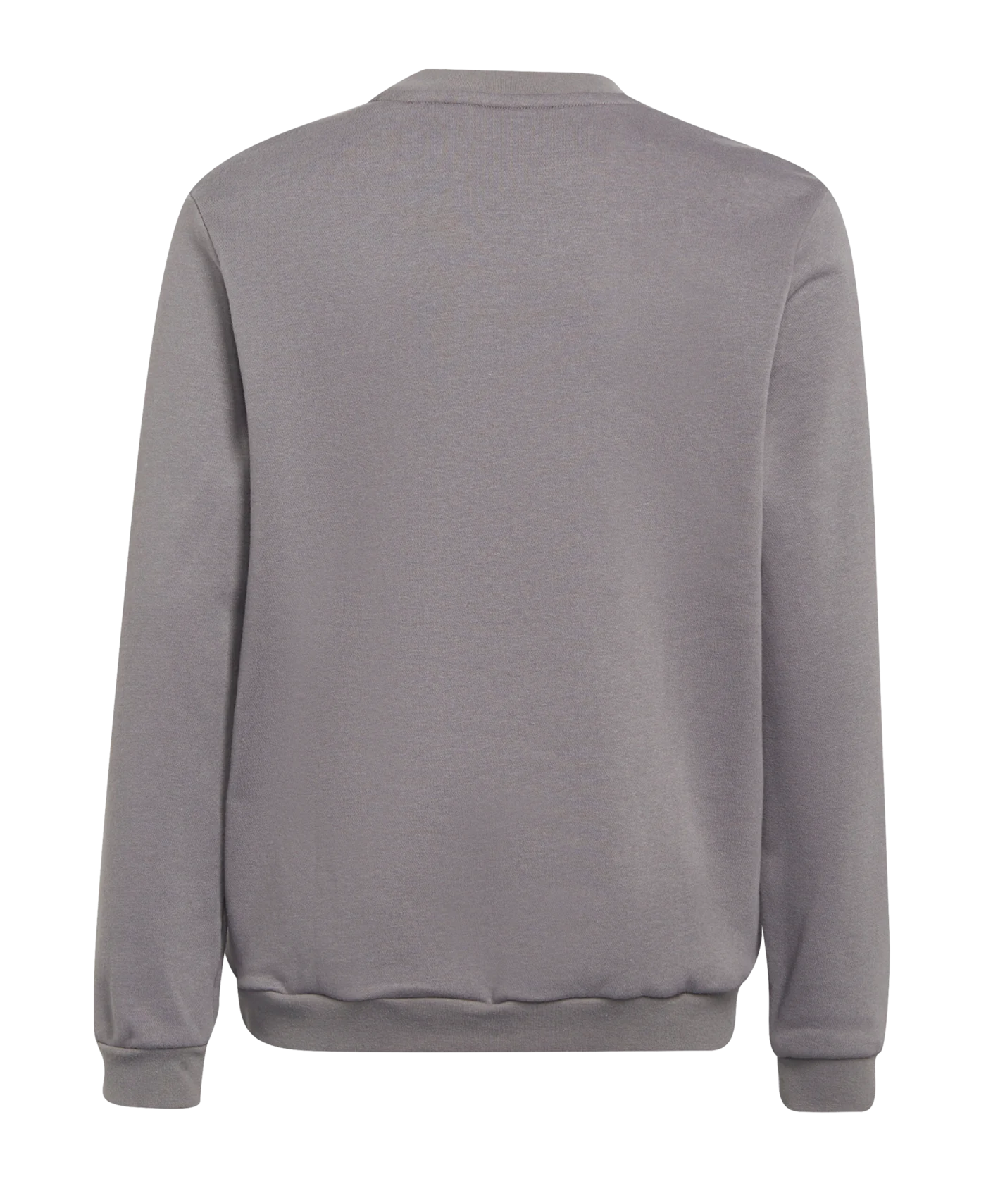adidas Entrada 22 Sweatshirt Grau