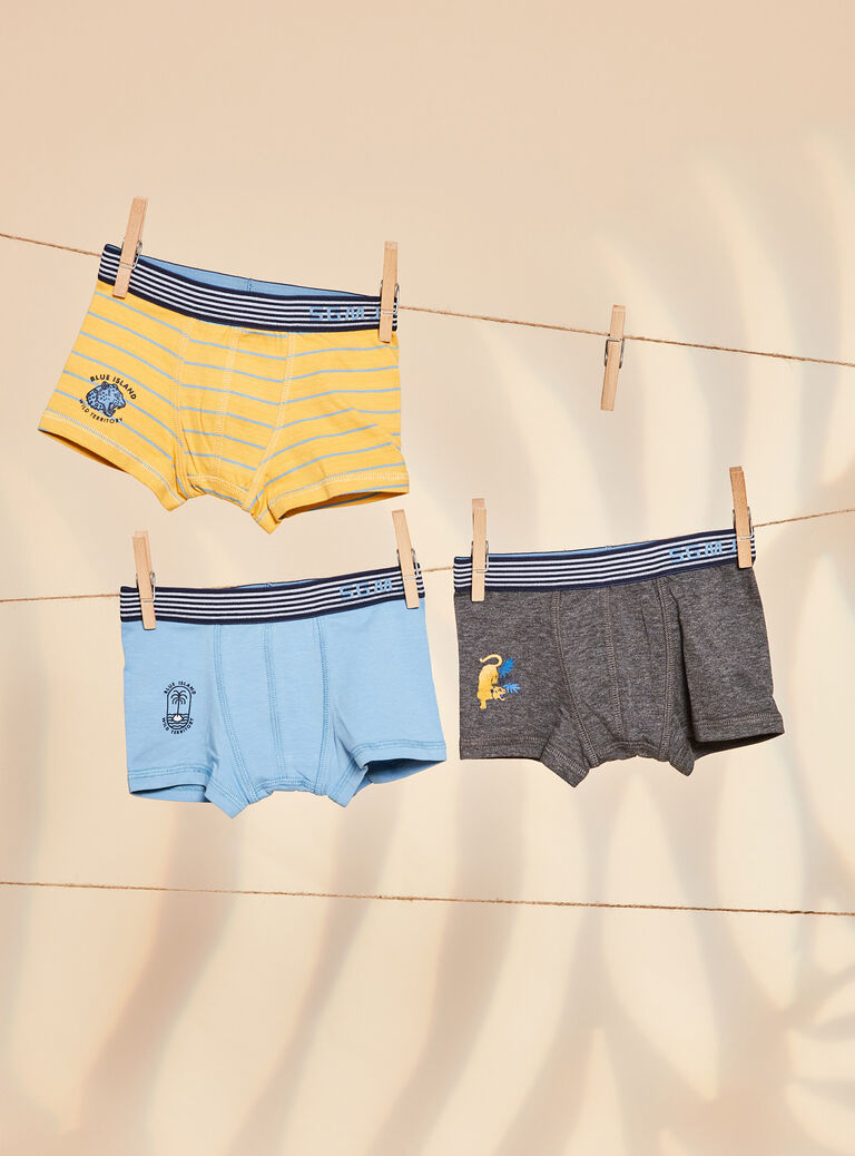 Lot de 3 boxers assortis en coton biologique