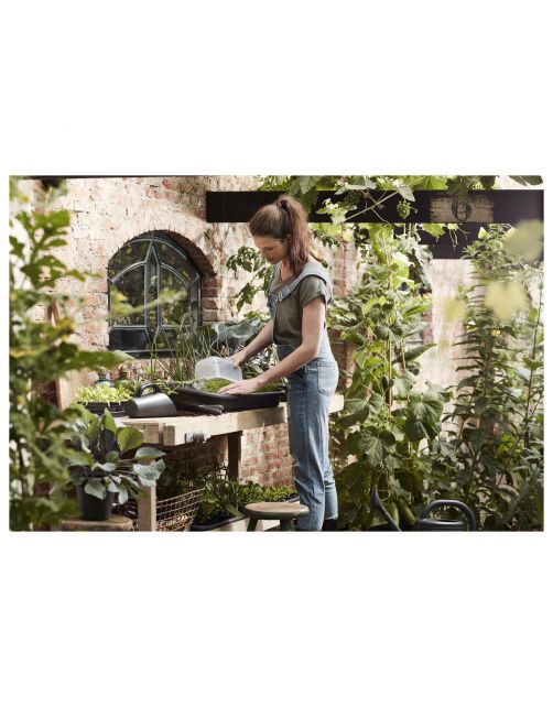 Elho Green Basics Kweekhuis - Kweekbenodigdheden - 35.8x25.5x12.9 cm Transparant M