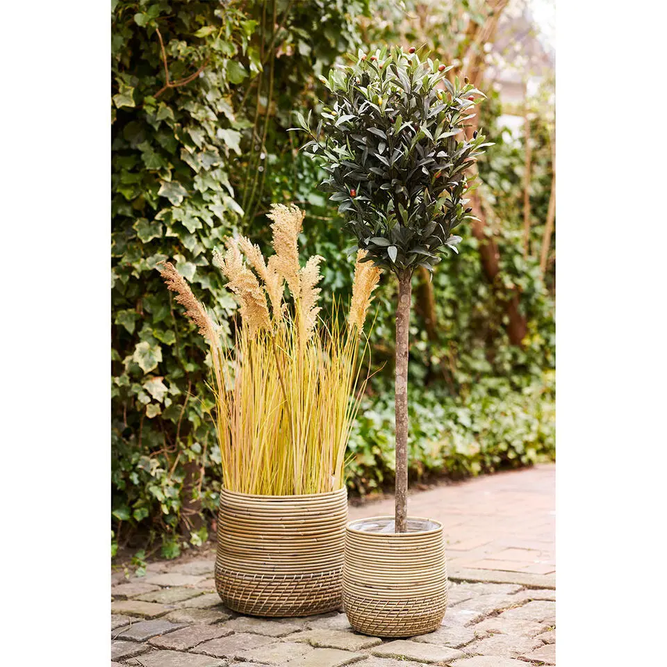 Mand Naturel Rotan - Set Van 2 - Moro Kubu