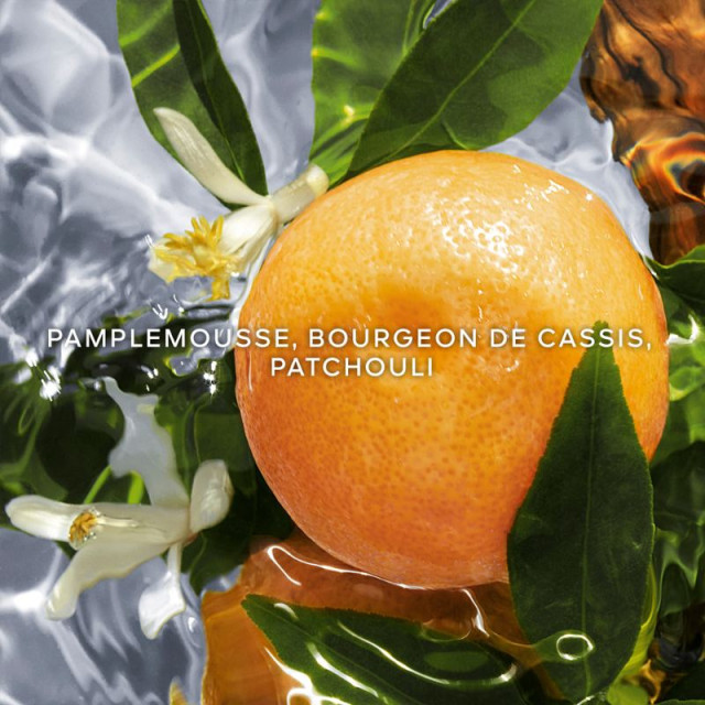 Aqua Allegoria Pamplelune Eau de Toiette GUERLAIN