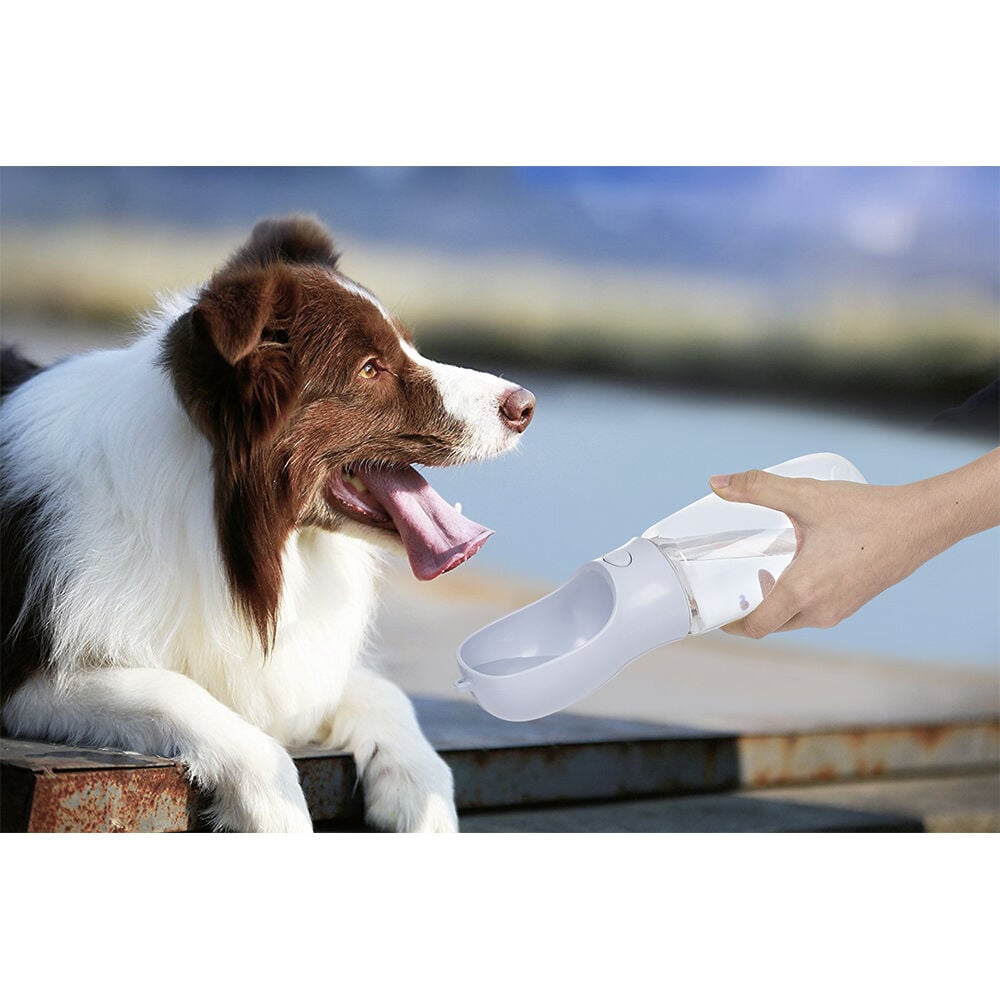Distributeur d'eau portable pour chien ou chat 500ml