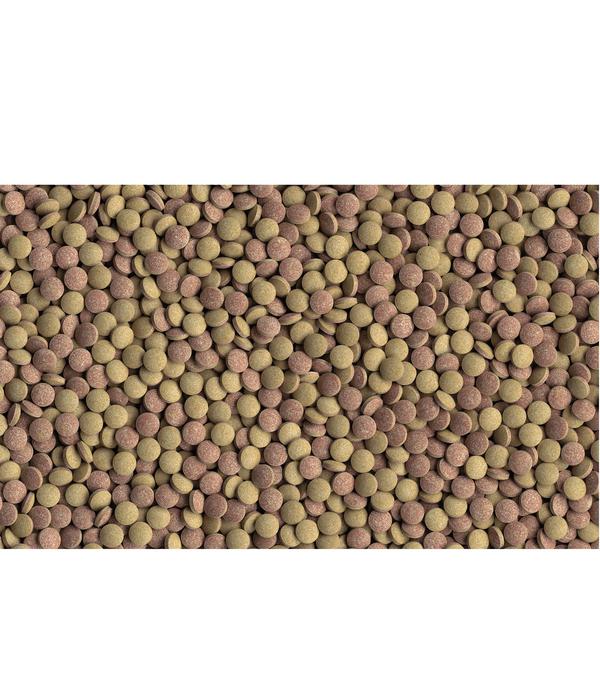 Tetra Fischfutter Tablets TabiMin