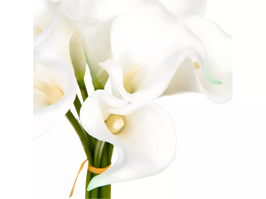 Bouquet de Fleurs 