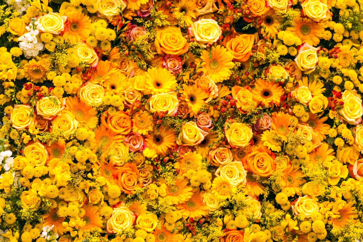 PB-Collection tuinschilderij bloemen geel 30 x 2 x 40 cm