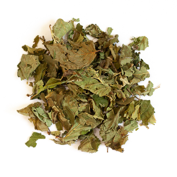 Feuilles de noisetier - 50 g