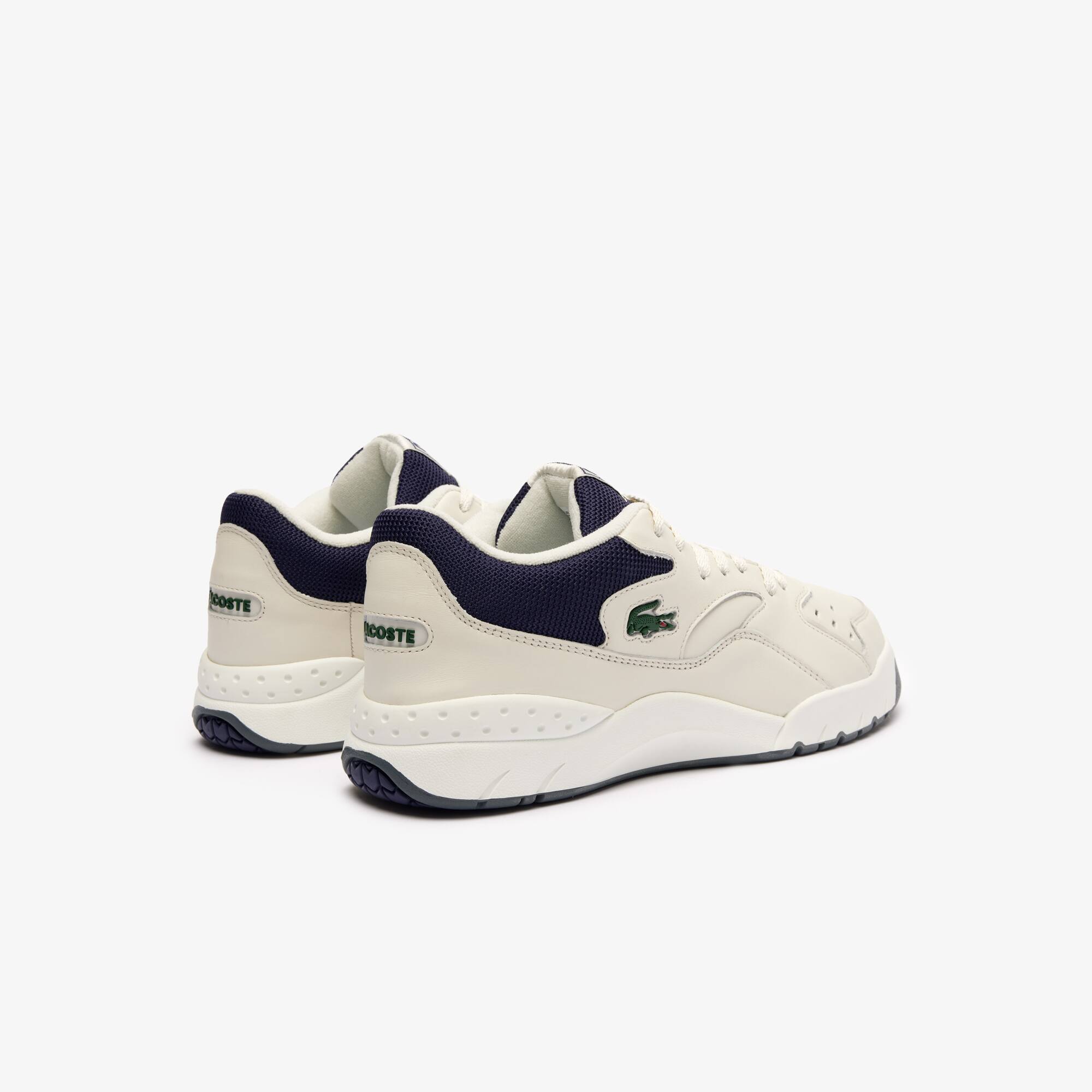 Herren-Sneakers Aceline 96 aus Leder Sneakers - Weiss - Lacoste - Herren